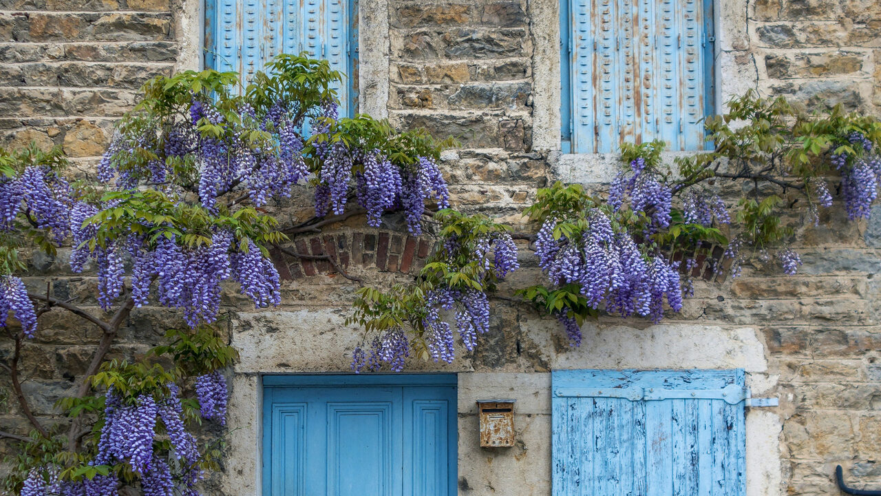 3 conseils pour embellir vos extérieurs avec des fleurs