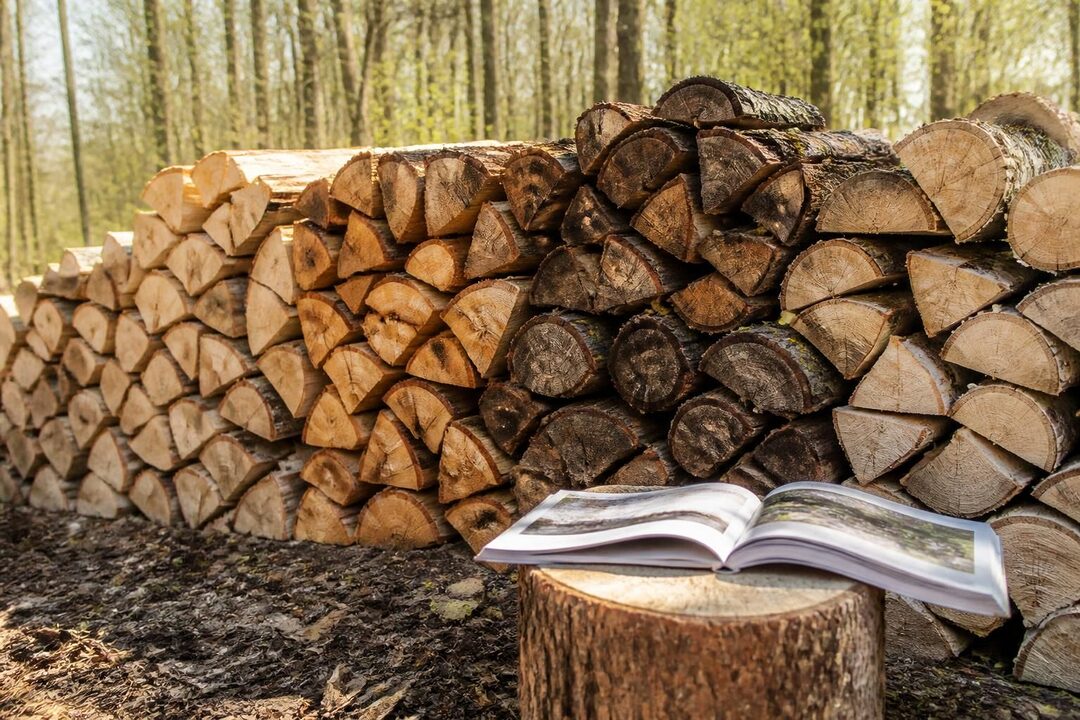 découvrez comment acheter du bois de chauffage à 40 euros le stère en 2026 grâce à notre guide complet pour faire le meilleur choix et profiter d'un chauffage efficace et économique.