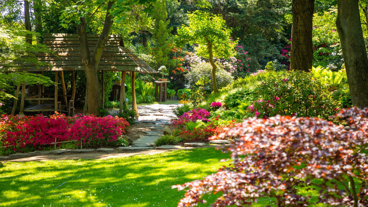 Un beau jardin profite de nombreuses fleurs au printemps
