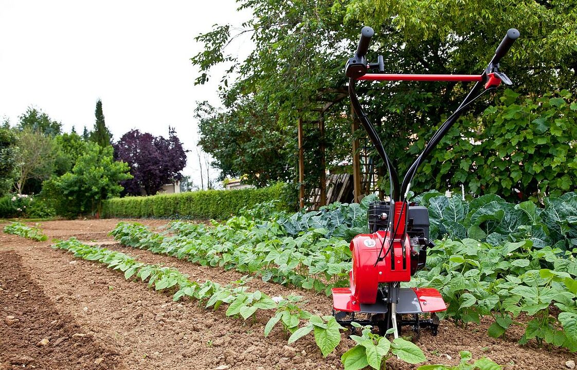 Motobineuse thermique : préparez votre potager sans effort